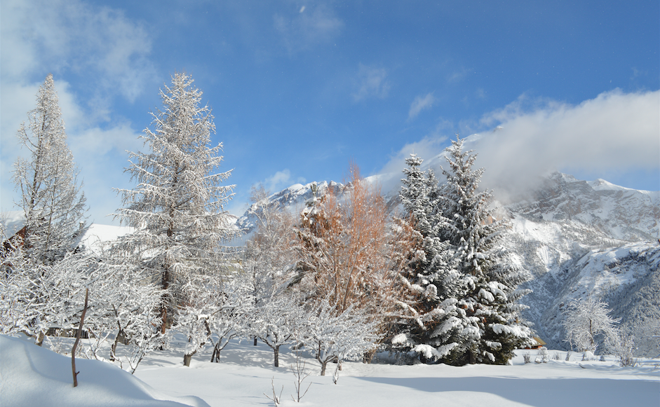 Lendemain de chutes de neige 1